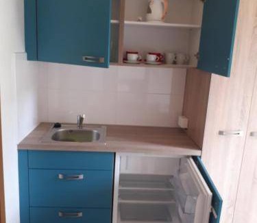 Frantiskovy Lazne Lit Et Petit-Déjeuner | 19 m² Chambre d'hôtes ∙ 3 personnes