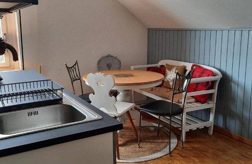 Meilen District Auberge | 19 m² Auberge de jeunesse ∙ 4 personnes