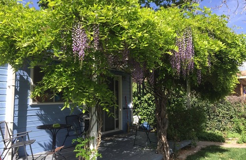 Palisade Maison | 1912 Expérience Cottage In The Heart Of Colorado Wine Country