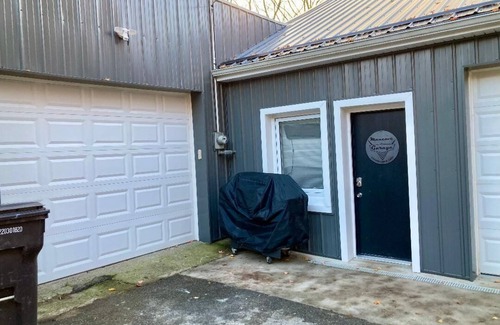 Hillsdale Maison | 1929 Man cave apartment with 1 bedroom and AC, fiber optic WiFi in Hillsdale