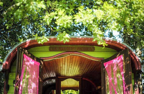 Bourg-sur-Gironde Maison | 1946 "Pacouli" caravan in a wooded meadow