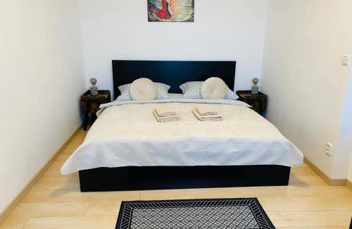 Hradec Kralove Appartement | 1BD Apartment on Masarykovo Square - Bathtube, Desk & Chair, Free Wi-Fi