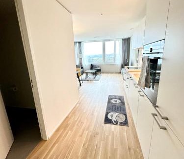Neuhausen am Rheinfall Appartement | 2.5 Room@MydiHei Apartments