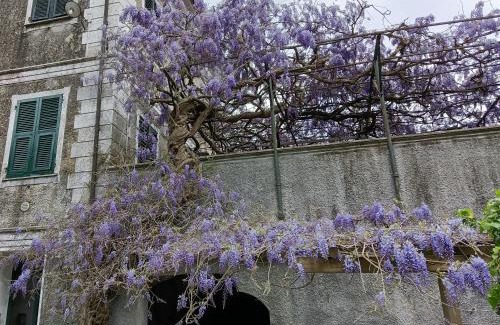 Prati Appartement | 2 appartamenti totale 12 posti letto