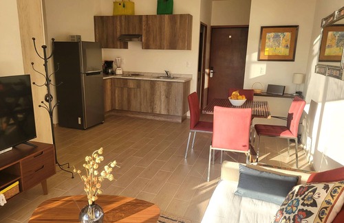 San Juan Cosala Appartement | 2 Bed/2 Bath Penth House w/ Private Roof Top at Lago Luna, Chante