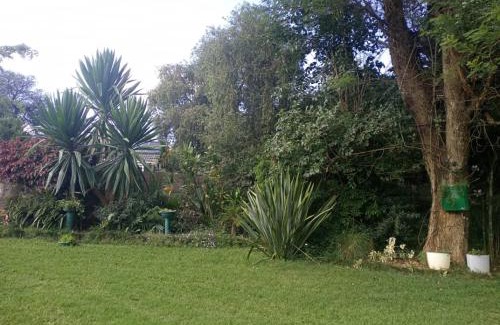Harare Appartement | 2 bed guesthouse in Mabelreign - 2012