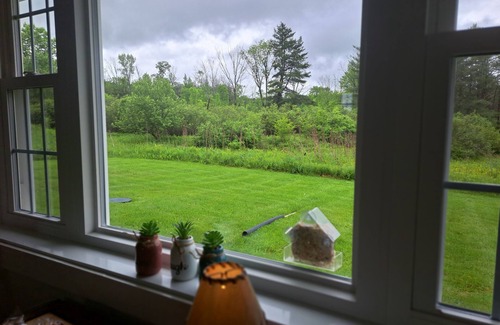 Mount Upton Maison | 2-bedroom Cozy Country Cottage with Meadow views,nPeaceful area will inspire!