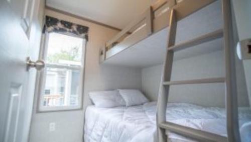 Campbellford Maison | 2 Bedroom Waterfront Cottage Cedar Point Cres 4