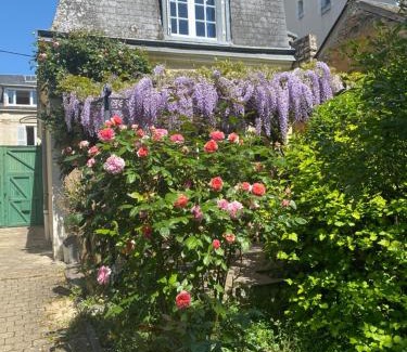La Fleche Maison | 2 chambres, 4 a 6 voyageurs en centre ville, à 5 mins du zoo