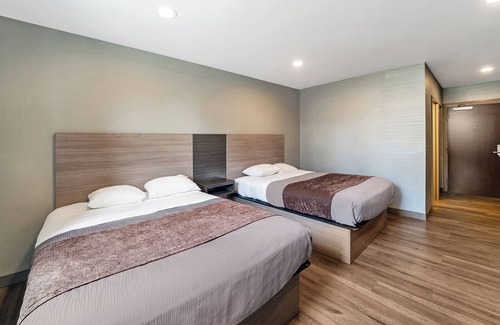 Foxboro Maison | 2 Comfortable Units, Minutes From Patriot Place, with FREE Parking & Breakfast!