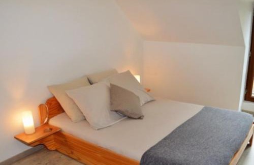 Villeloin-Coulange Maison | 2 gîtes mitoyens avec piscine 8-12 pers
