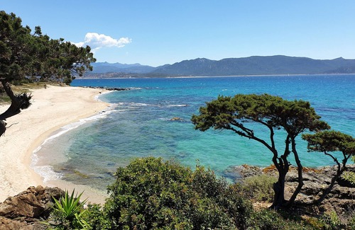 Porto Pollo Maison | 2 Pièces, climatisé, à 150 m de la plage, tout confort pour 4 personnes