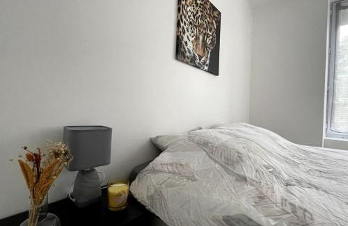 Lesigny Appartement | 2 pièces en plein centre ville