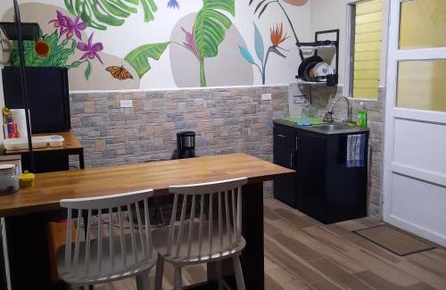 Agonia Appartement | 2 Room 1 ba close to SJO airport, Poás and waterfalls