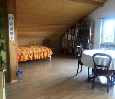 Brugg Appartement | 2-room-apartment with shared garden place and view on nature reserve