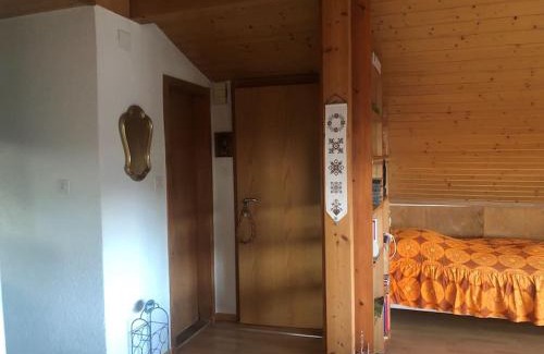 Brugg Appartement | 2-room-apartment with shared garden place and view on nature reserve