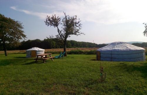 Druyes-les-Belles-Fontaines Autre | 2 Yourtes au naturel