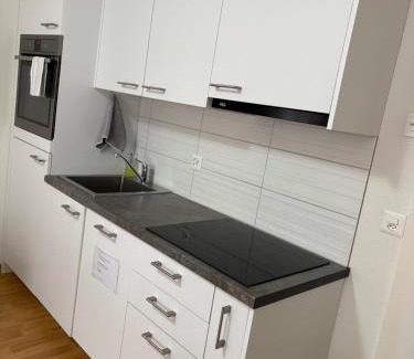 Winterthur Appartement | 2 Zimmer Appartement mit eigenem Bad und Küche