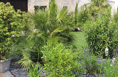 Aigrefeuille-d'Aunis Cottage | A 20 km de la Rochelle grand gîte de 160 m2 - 6 personnes