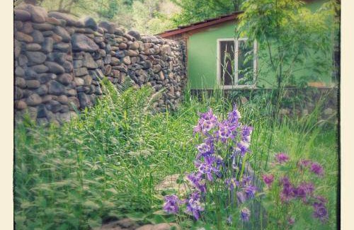 Dilijan Auberge | 20 m² Auberge de jeunesse ∙ 2 personnes