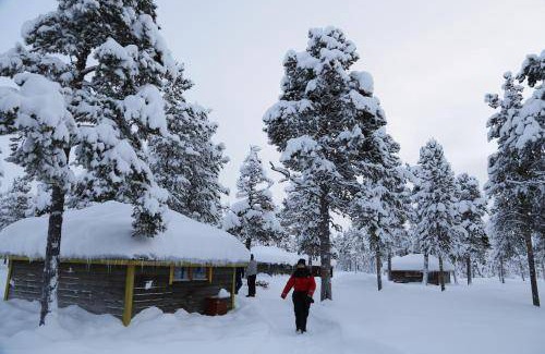 Jukkasjarvi Cabine | 20 m² Chalet ∙ 4 personnes