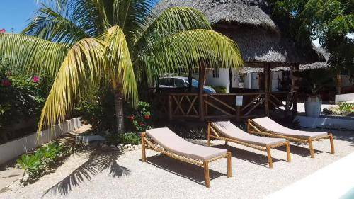 Nungwi Cabine | 20 m² Chalet ∙ 4 personnes