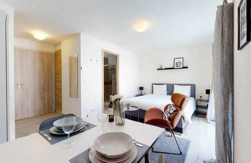 Aigle Appartement | 20 m² Studio ∙ 1 chambre ∙ 2 personnes