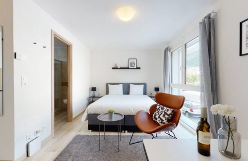 Aigle Appartement | 20 m² Studio ∙ 1 chambre ∙ 2 personnes