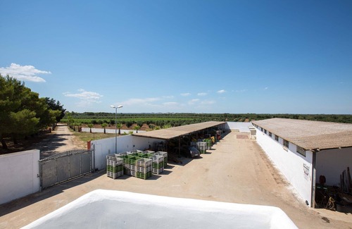 Erchie Appartement | 2040 Antica Masseria Casa Rossa - Appartamento Frantoiana