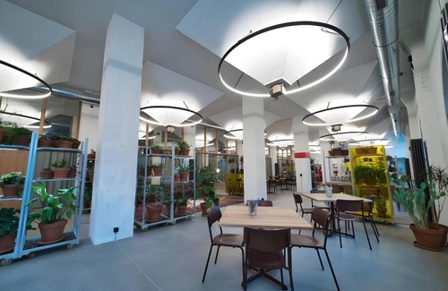 Basel City Centre Auberge | 21 m² Auberge de jeunesse ∙ 6 personnes