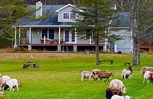 Lehighton Autre | 22 ACRE FARMHOUSE WITH PARK LIKE SETTINGS