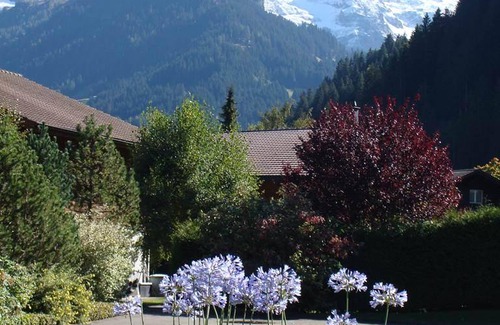 Lenk Appartement | 22 m² Appartement ∙ 1 chambre ∙ 2 personnes