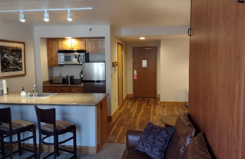 Crested Butte Appartement | 225 Large 2 bath Condo Suite Sleeps 6 at Base Area