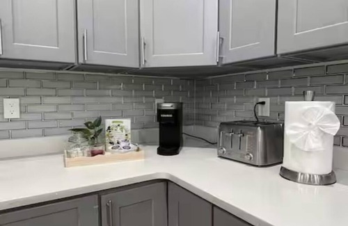 Dudley - Brunswick King Appartement | 233/1 - 4BR Comfortable Apt near Franklin Park Zoo