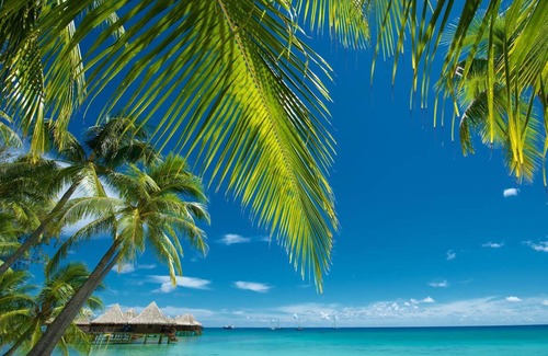 Rangiroa Station Balnéaire | 236 m² Résidence de vacances ∙ 2 chambres ∙ 8 personnes