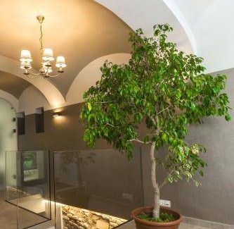 Gyor Appartement | 24 m² Appartement ∙ 3 personnes