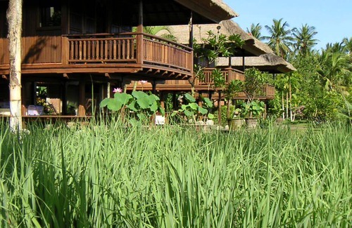 Kaliasem Maison | 24 m² Bungalow ∙ 1 chambre ∙ 2 personnes