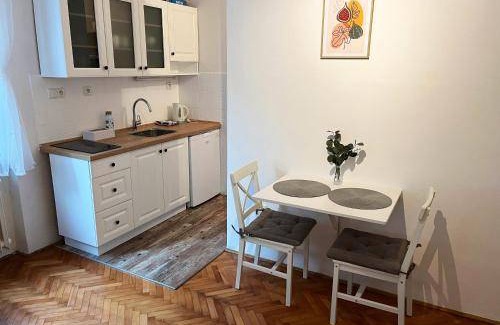 Nove Mesto nad Metuji Appartement | 24 m² Appartement ∙ 1 chambre ∙ 2 personnes