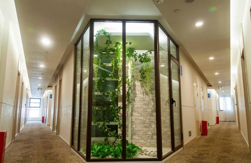 Dengfeng Hôtel | 24 m² Hôtel ∙ 3 personnes
