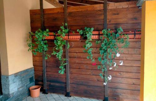 Borgo Ticino Lit Et Petit-Déjeuner | 25 m² Chambre d'hôtes ∙ 3 personnes