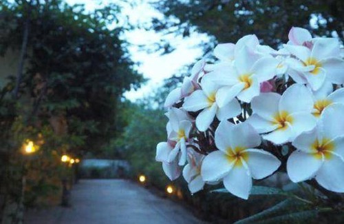 Phanom Sarakham Hôtel | 25 m² Hôtel ∙ 2 personnes