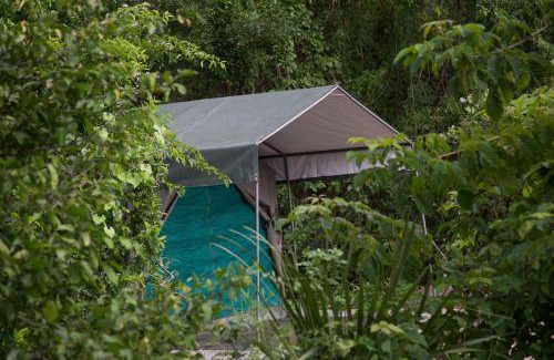 Selous Game Reserve Cabine | 25 m² Chalet ∙ 4 personnes
