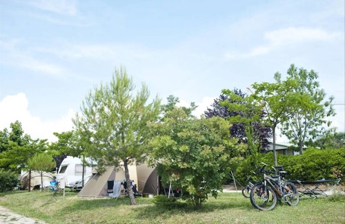 Forcalquier Autre | 25 m² Tente ∙ 5 personnes