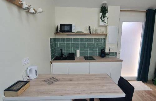 Roche-la-Moliere Appartement | 27 m² Appartement ∙ 1 chambre ∙ 2 personnes