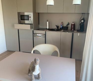 Gallus Appartement | 279 Expositon Center Galluswarte Main train station