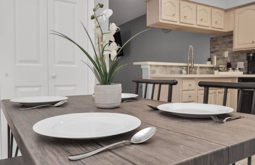Astrodome Appartement | 2BR Med NRG UH DT Galleria MDA Zoo Pool KgBDS 4KTV