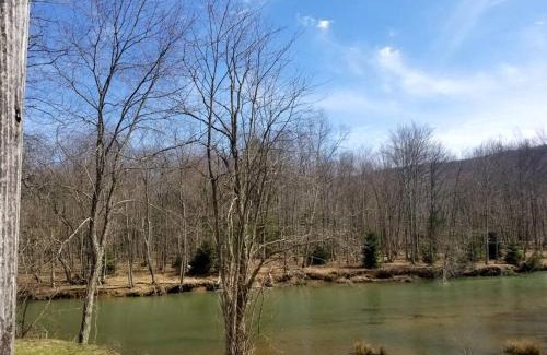 Byrnedale Maison | 3 bed/2 bath Riverside cabin
