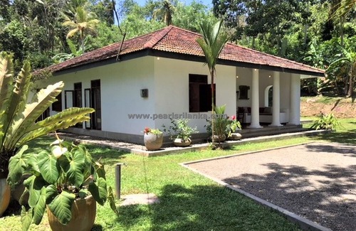 Bandaranayake Villa | Villa de style colonial de 3 chambres avec piscine à débordement et jardin pittoresque