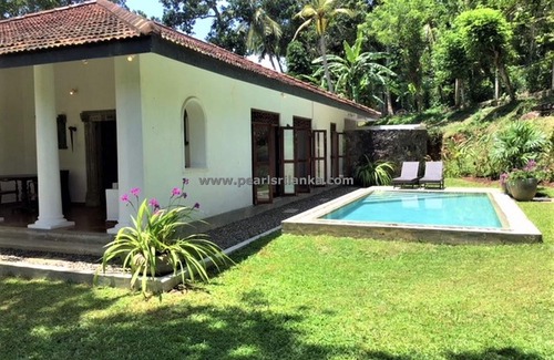 Bandaranayake Villa | Villa de style colonial de 3 chambres avec piscine à débordement et jardin pittoresque