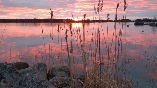 Vaasa Maison | 3 Bedroom Cottage with Sauna by the Sea